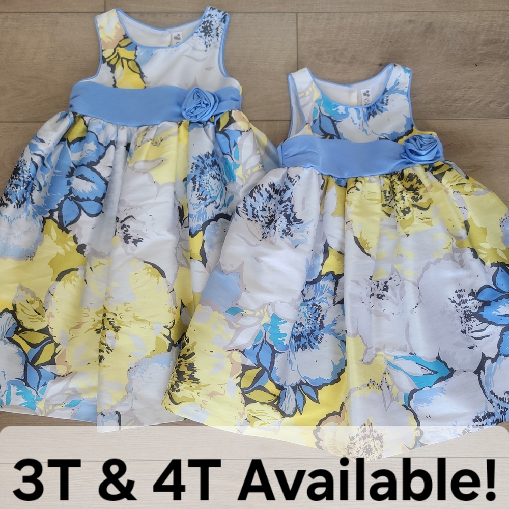 Cherokee Floral Satin Sleeveless Special Occasion Dress Sister Set Size 3T & 4T